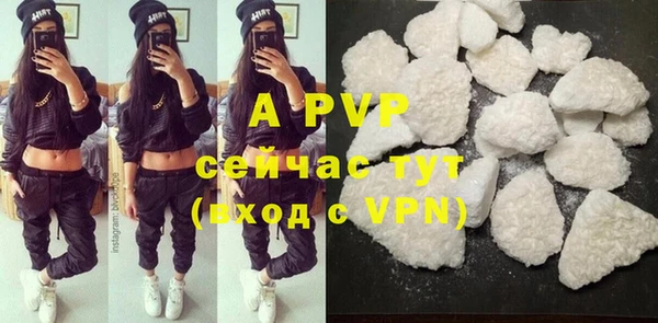 ПСИЛОЦИБИНОВЫЕ ГРИБЫ Осинники