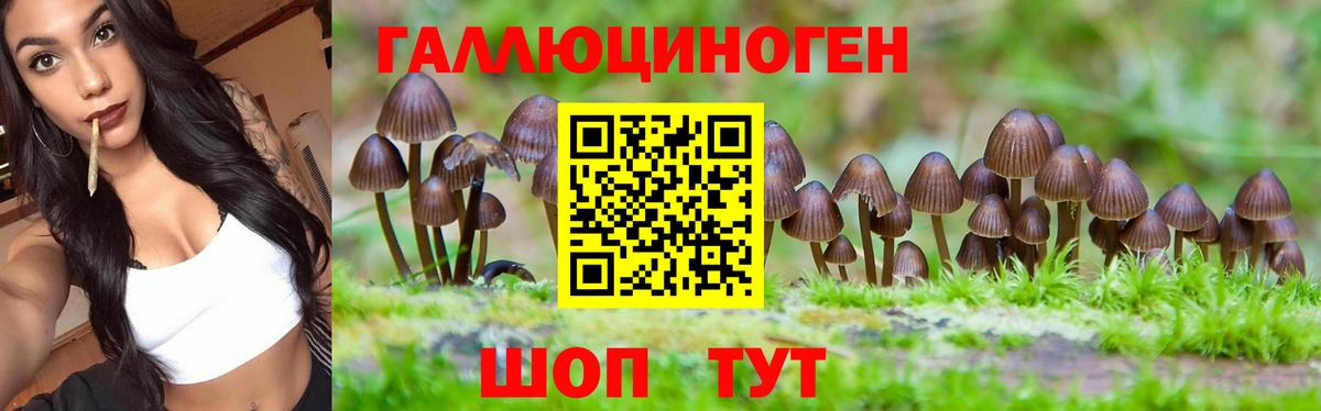 ГАШ Усть-Илимск